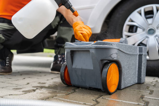 Best Organic Lawn Care Solutions  in Dortches, NC